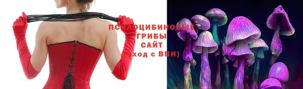 Альфа ПВП Заволжск