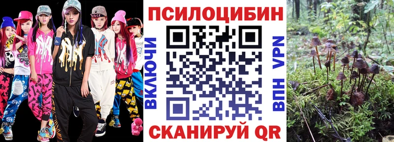 купить наркотики цена  ссылка на мегу ССЫЛКА  Галлюциногенные грибы Cubensis  Онега 
